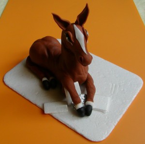 fotopostup-konik2.jpg